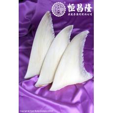 金山雙頂金勾翅