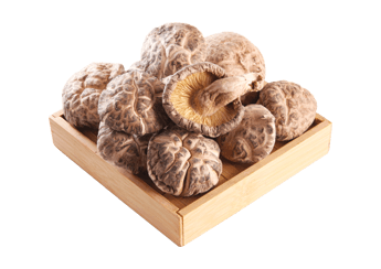 珍品原木白花菇